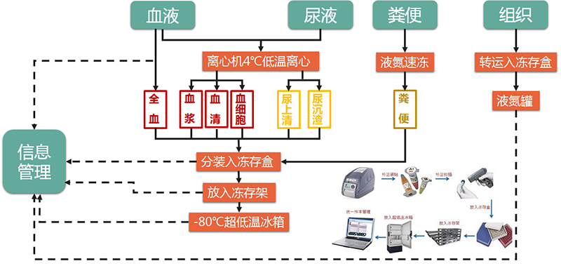 图片24.jpg 图片24.jpg
