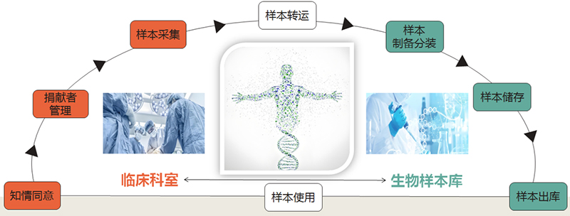 图片27.jpg 图片27.jpg
