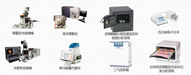 图片31.jpg 图片31.jpg