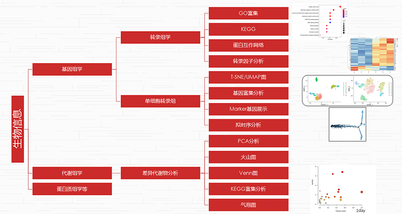 图片35.jpg 图片35.jpg
