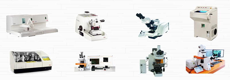 图片36.jpg 图片36.jpg