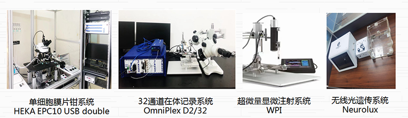 图片38.jpg 图片38.jpg